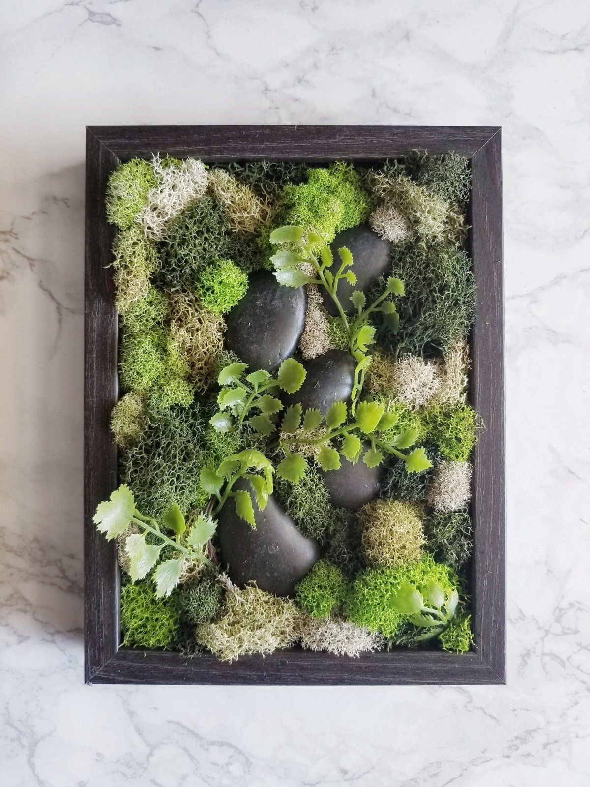 Фитокартина мох шишки