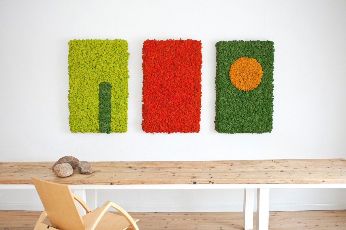 Стена из мха ягель