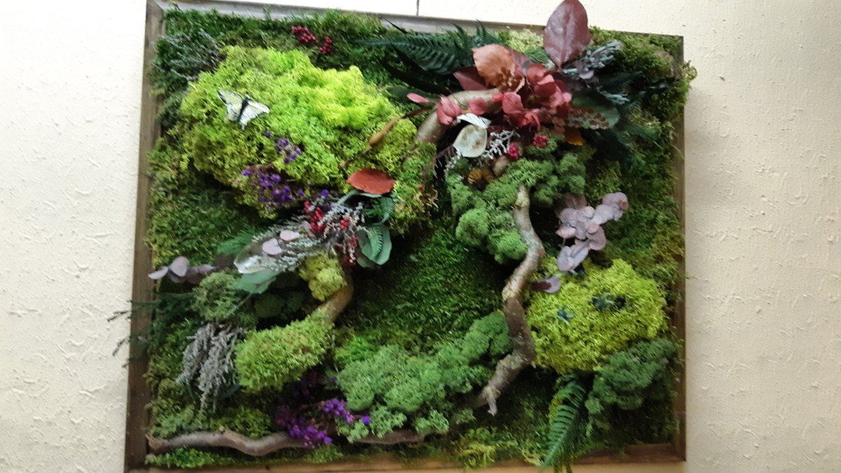 Картины из мха