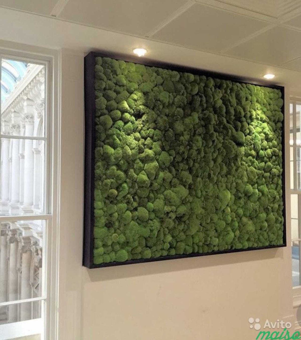 Фитокартина мох