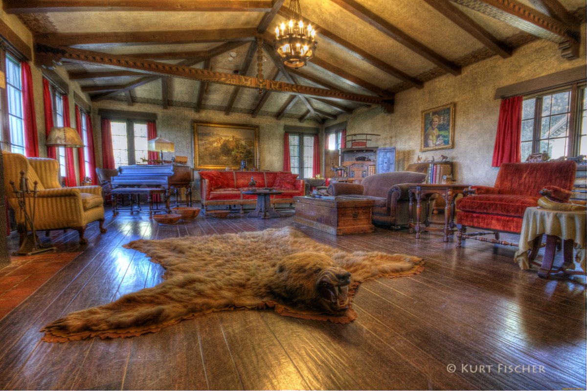 Камин охотничьи трофеи