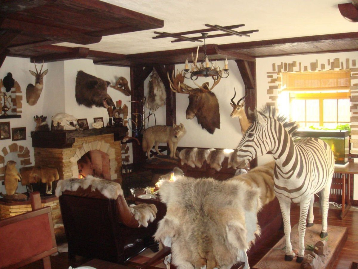 Шкура медведя