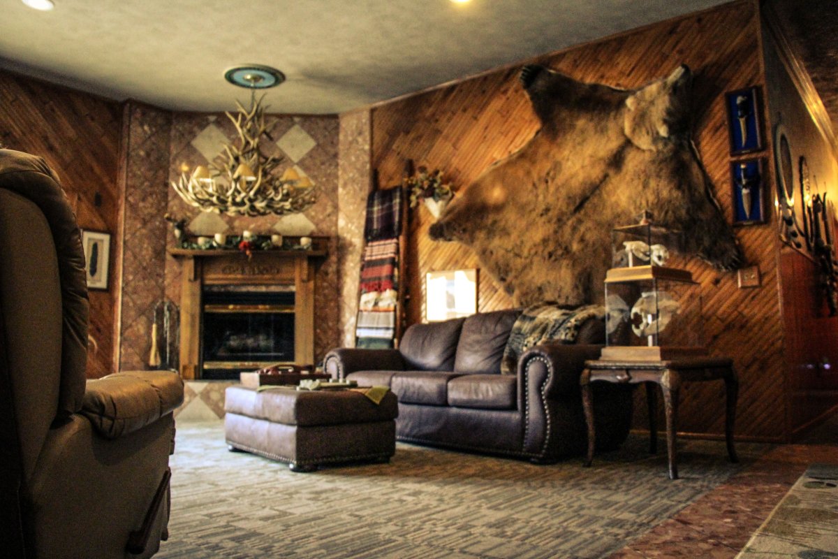 Шкура оленя