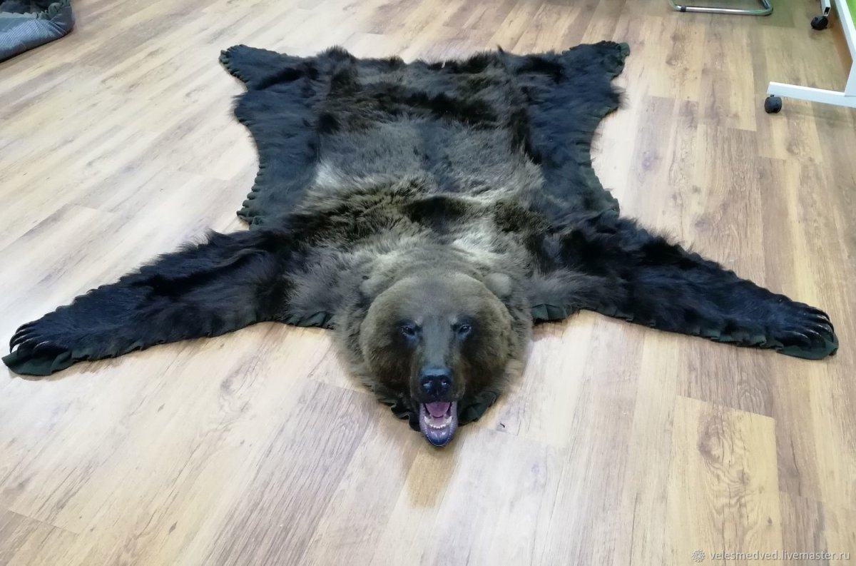 Коврик из медвежьей шкуры