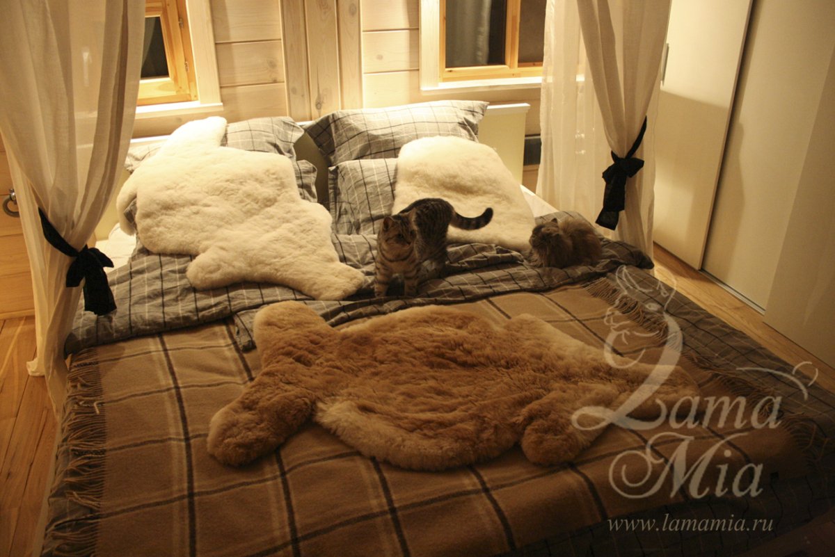 Домик с камином и шкурой медведя