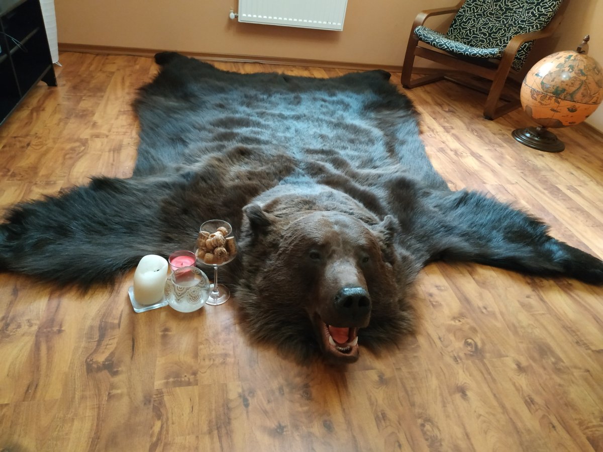 Ковер из медвежьей шкуры