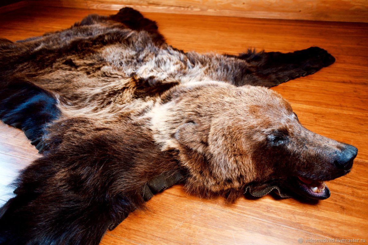 Шкура медведя в интерьере