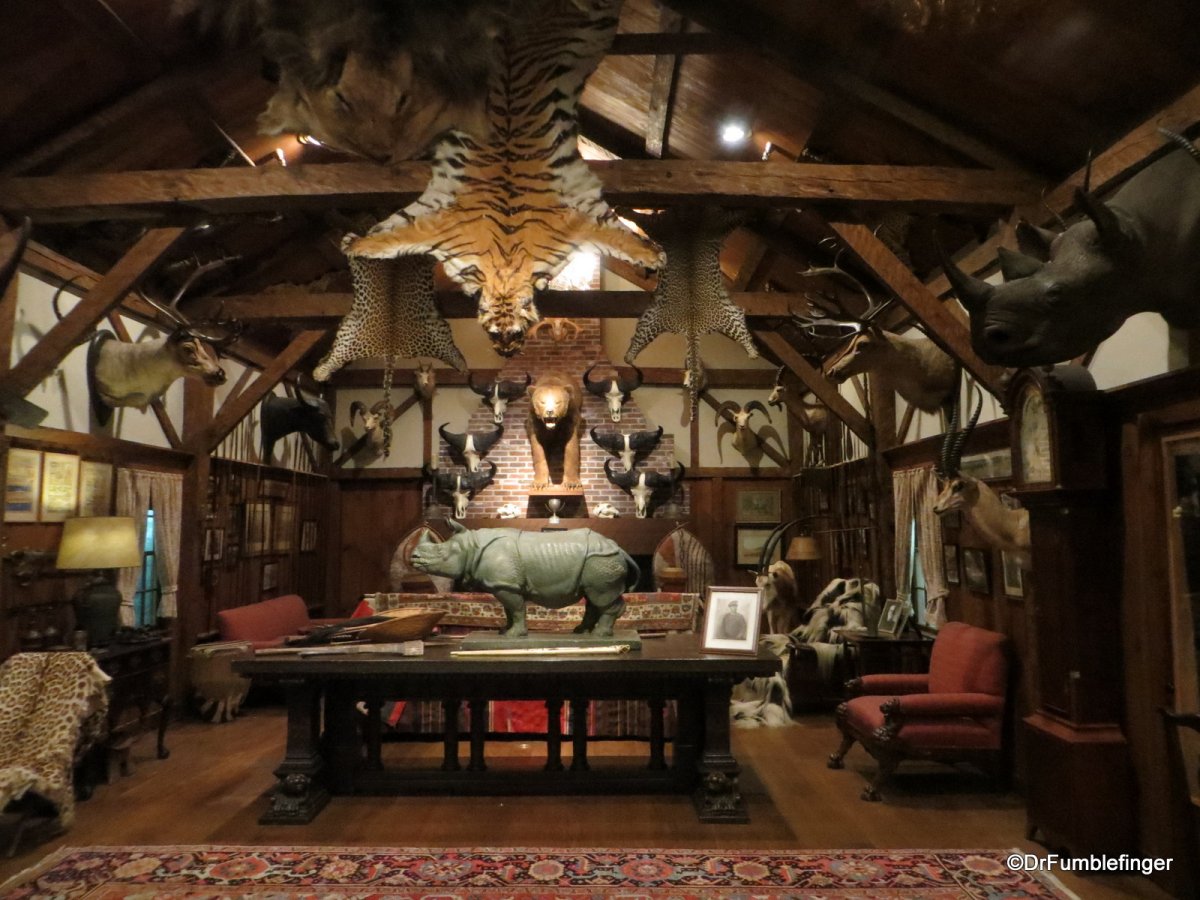 Шкура медведя