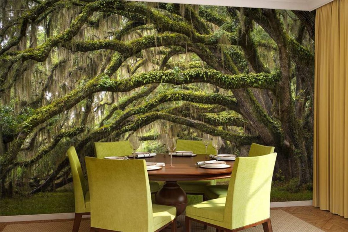 Красивые фотообои в интерьере