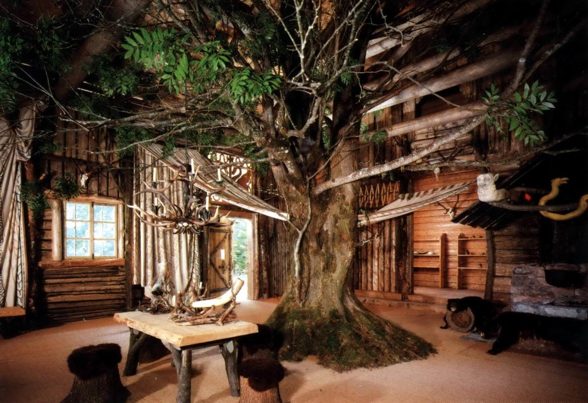 Фотообои на кухню лес