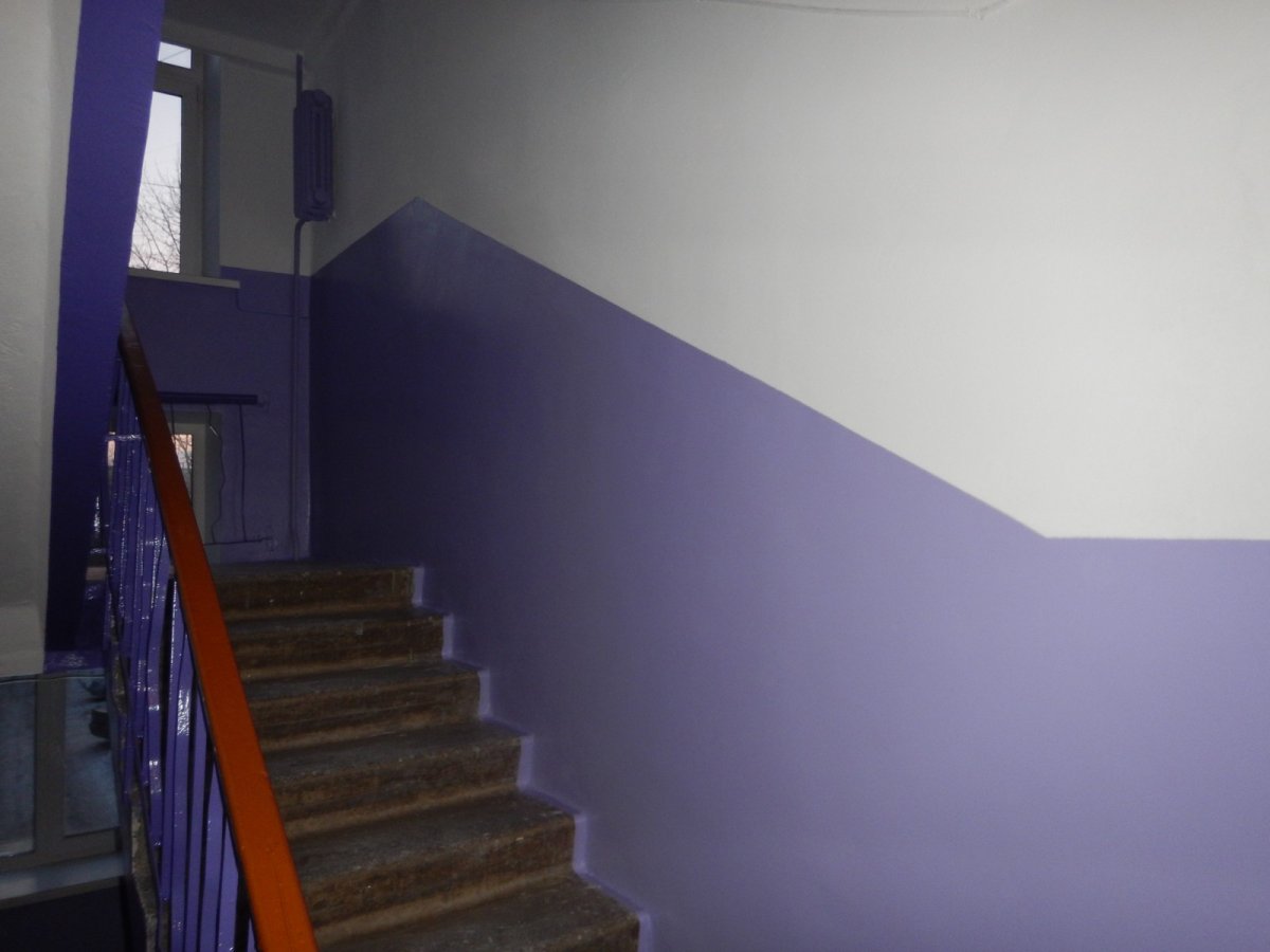 Краска для стен в подъезде