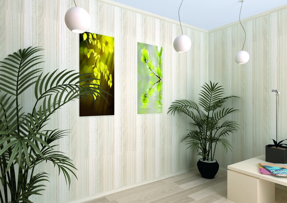 Шпонированные панели eurodom