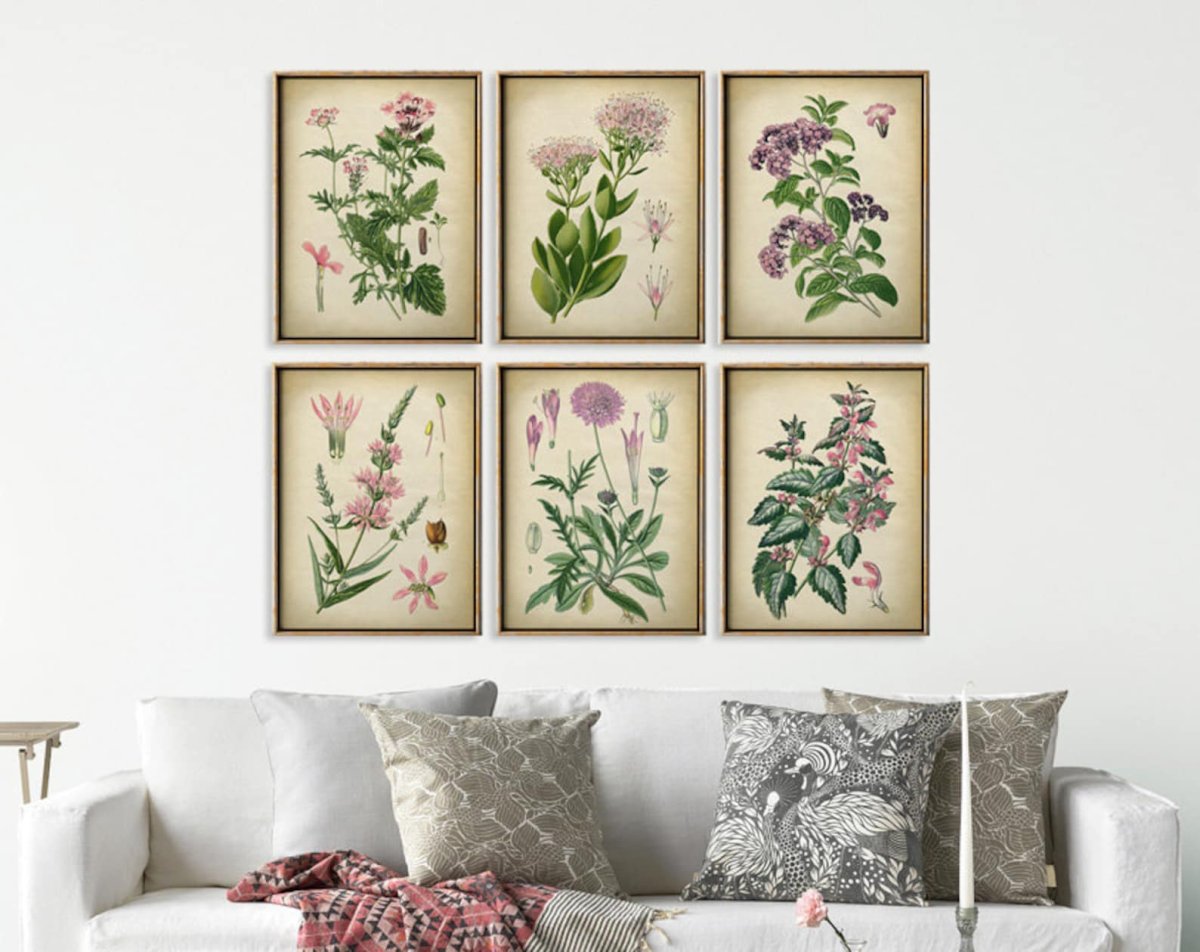 Екатерина като Ботанический скетчинг