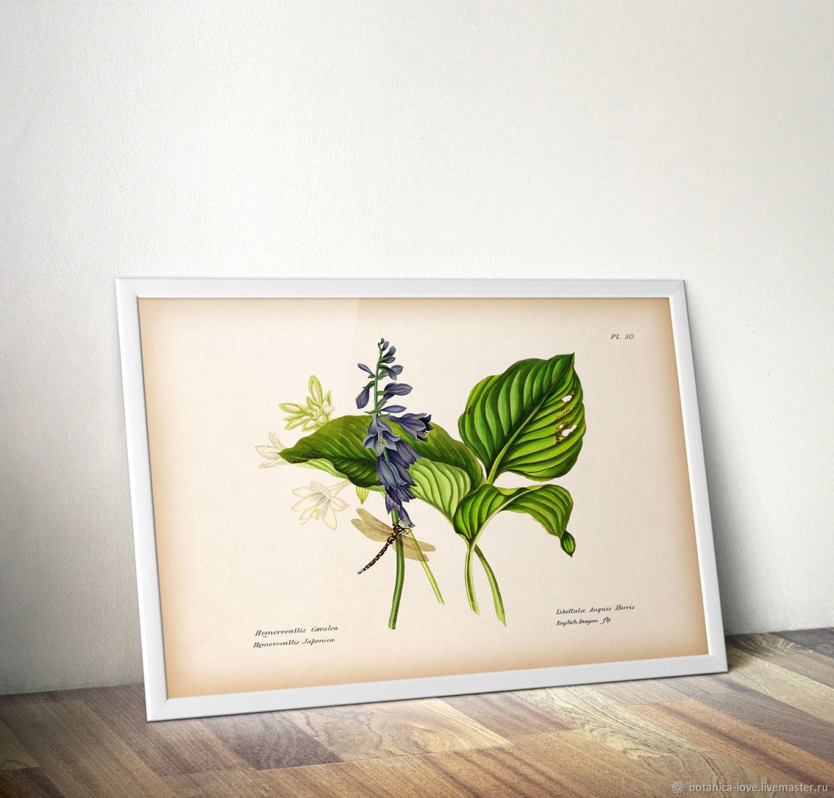 Тоня Ткач креатив Маркет