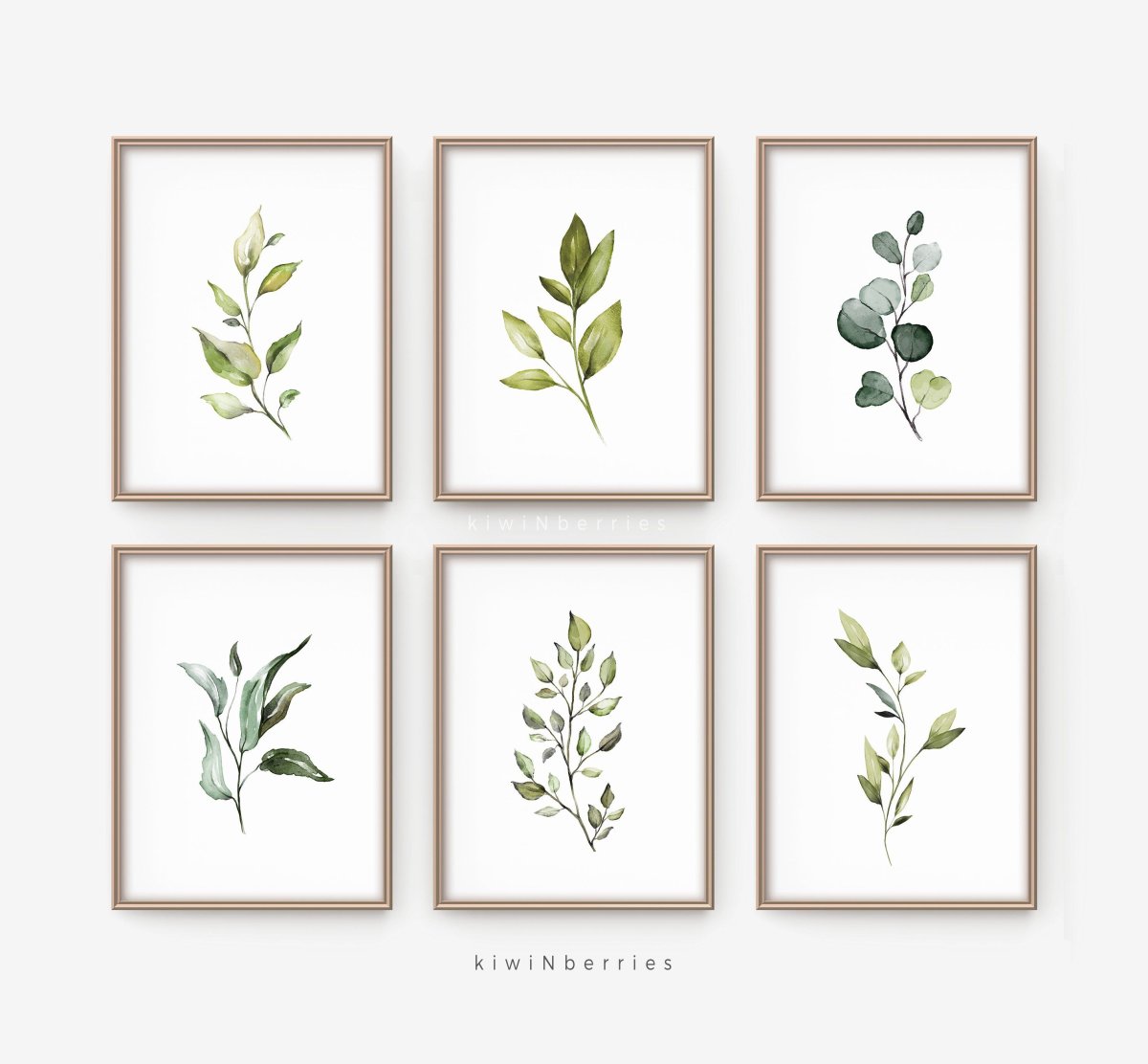 Ботаническая акварель Клевер