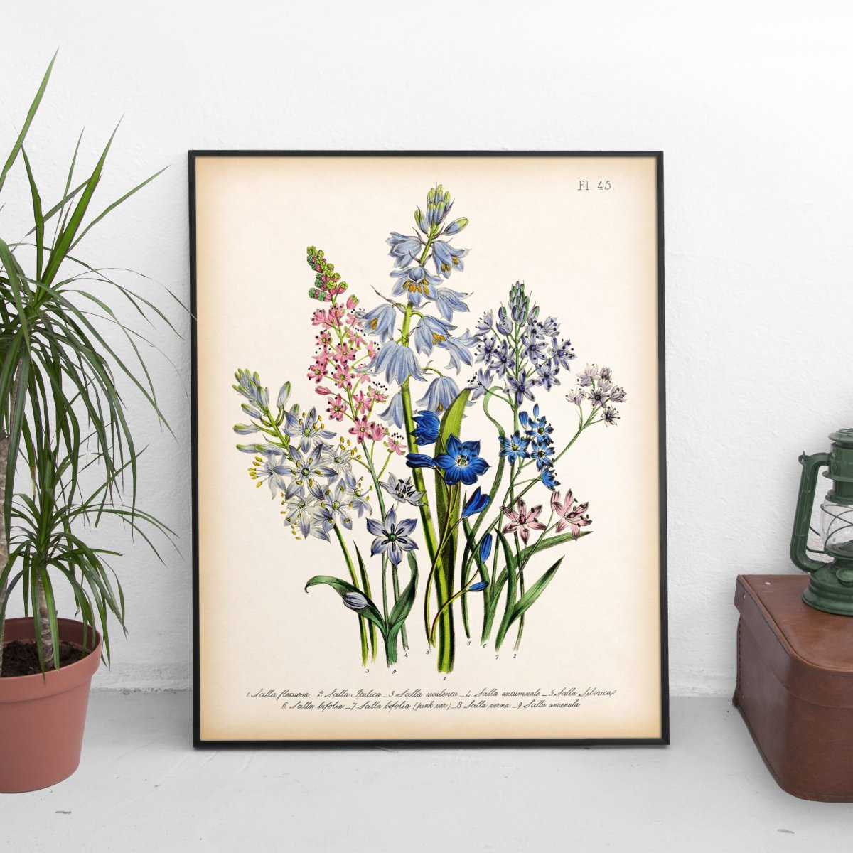 Картина растения