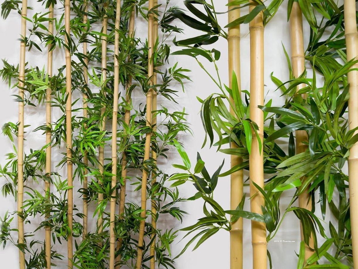 Бамбуковое полотно