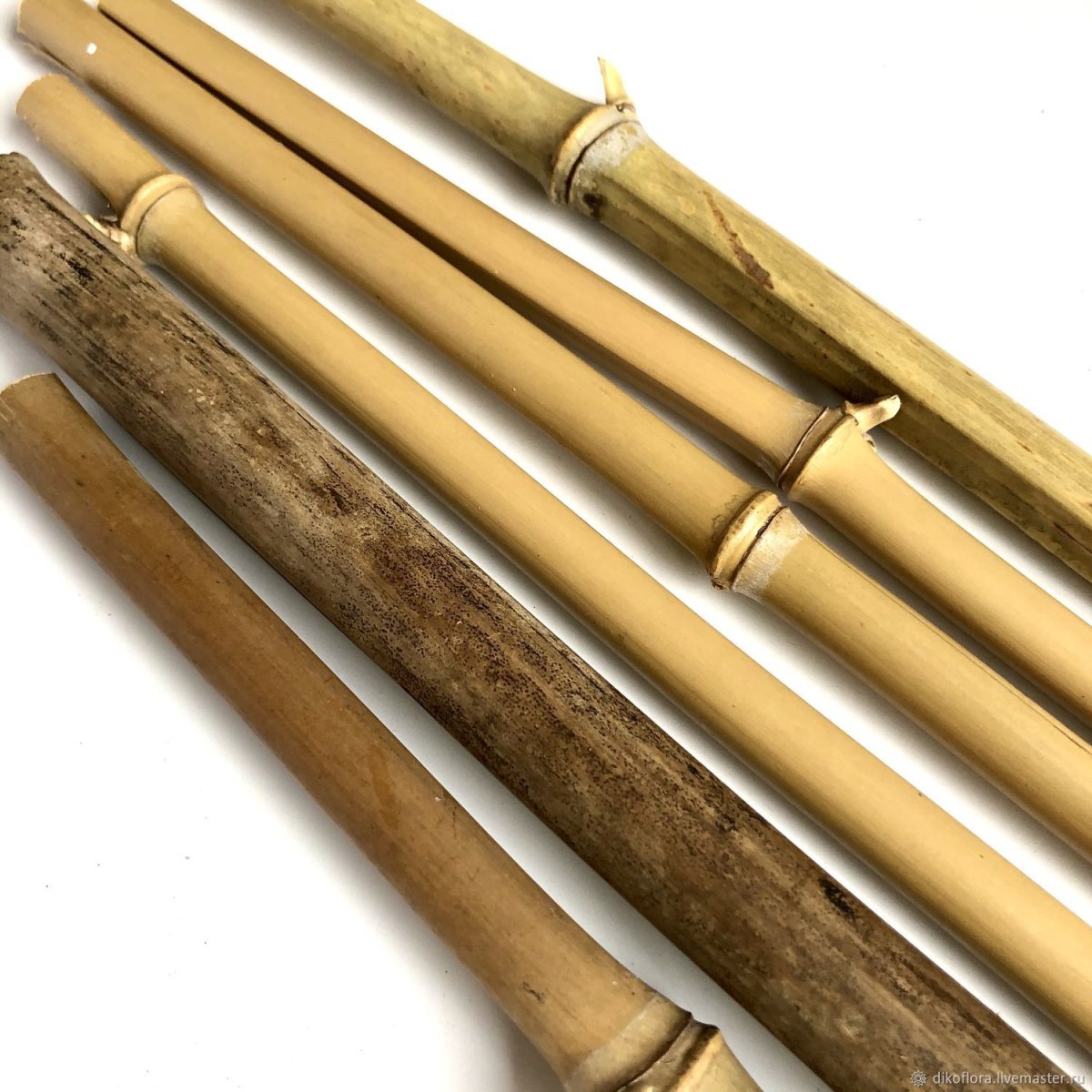 Бамбук для декора