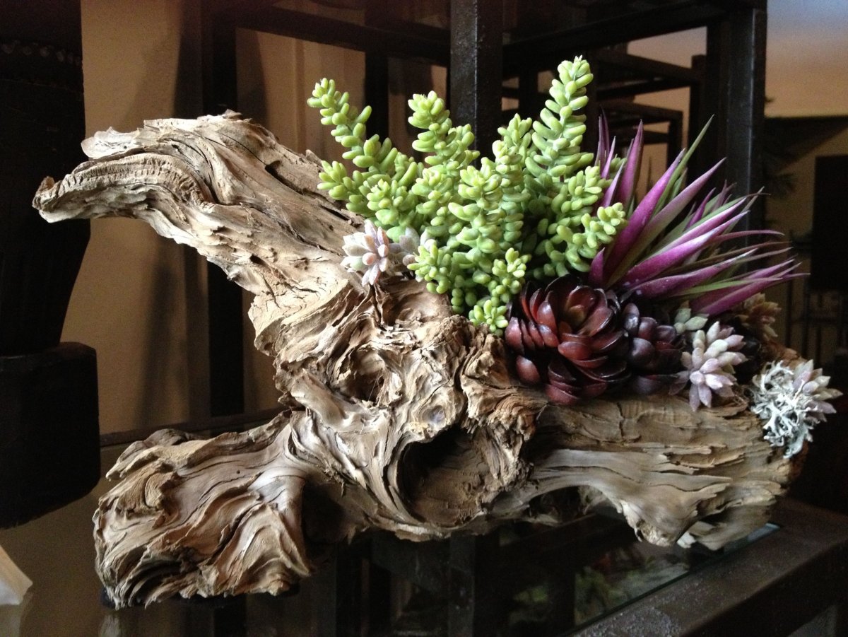 Коряги в интерьере