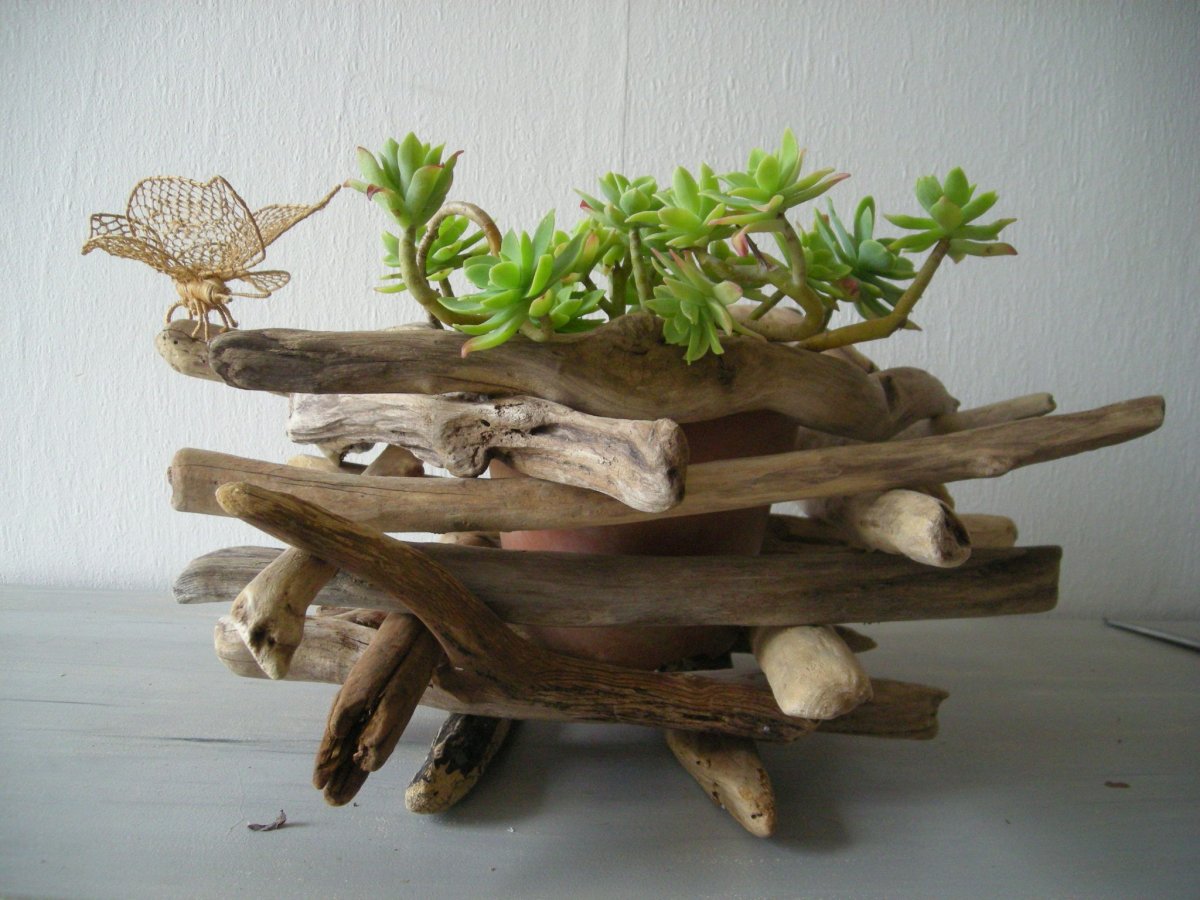 Декоративные коряги для интерьера