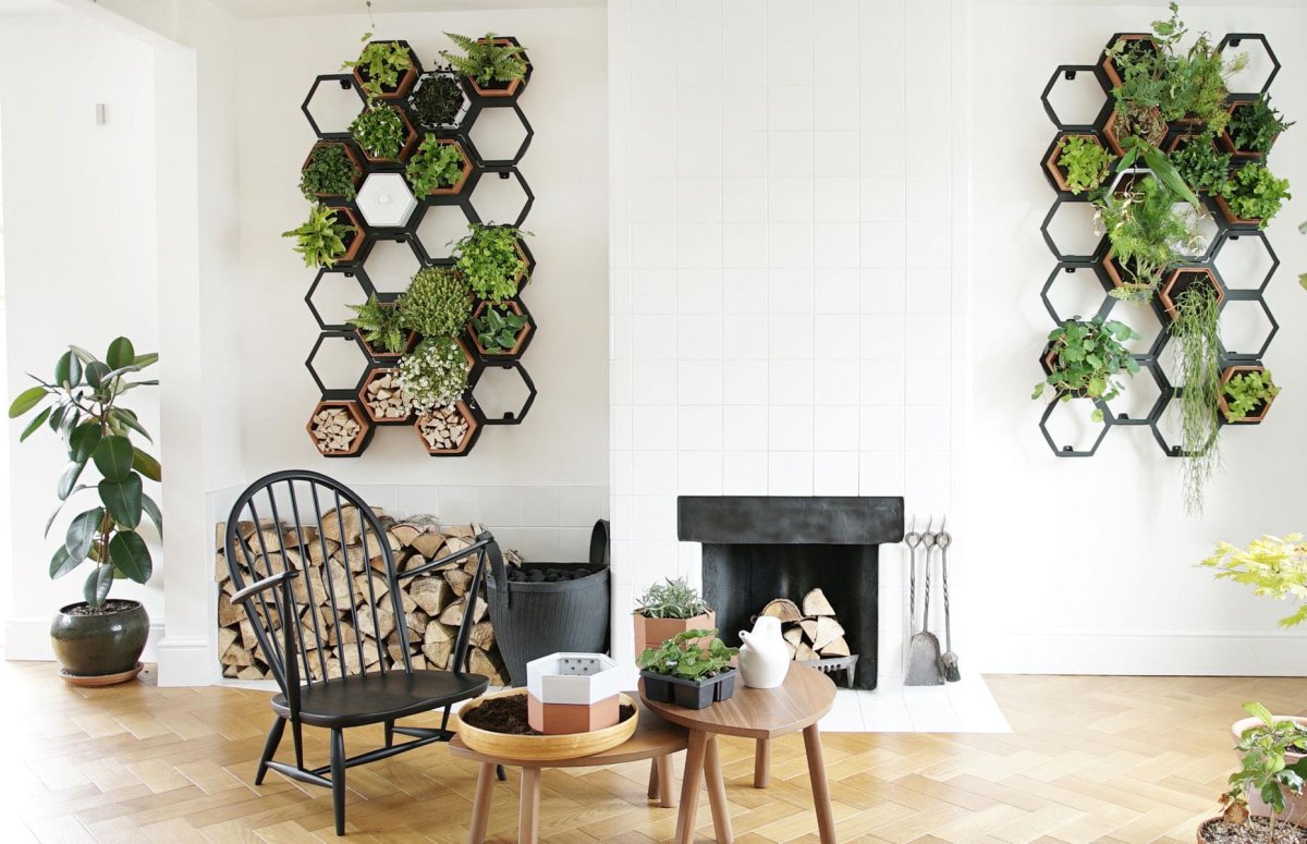 Украсить стенку растеним