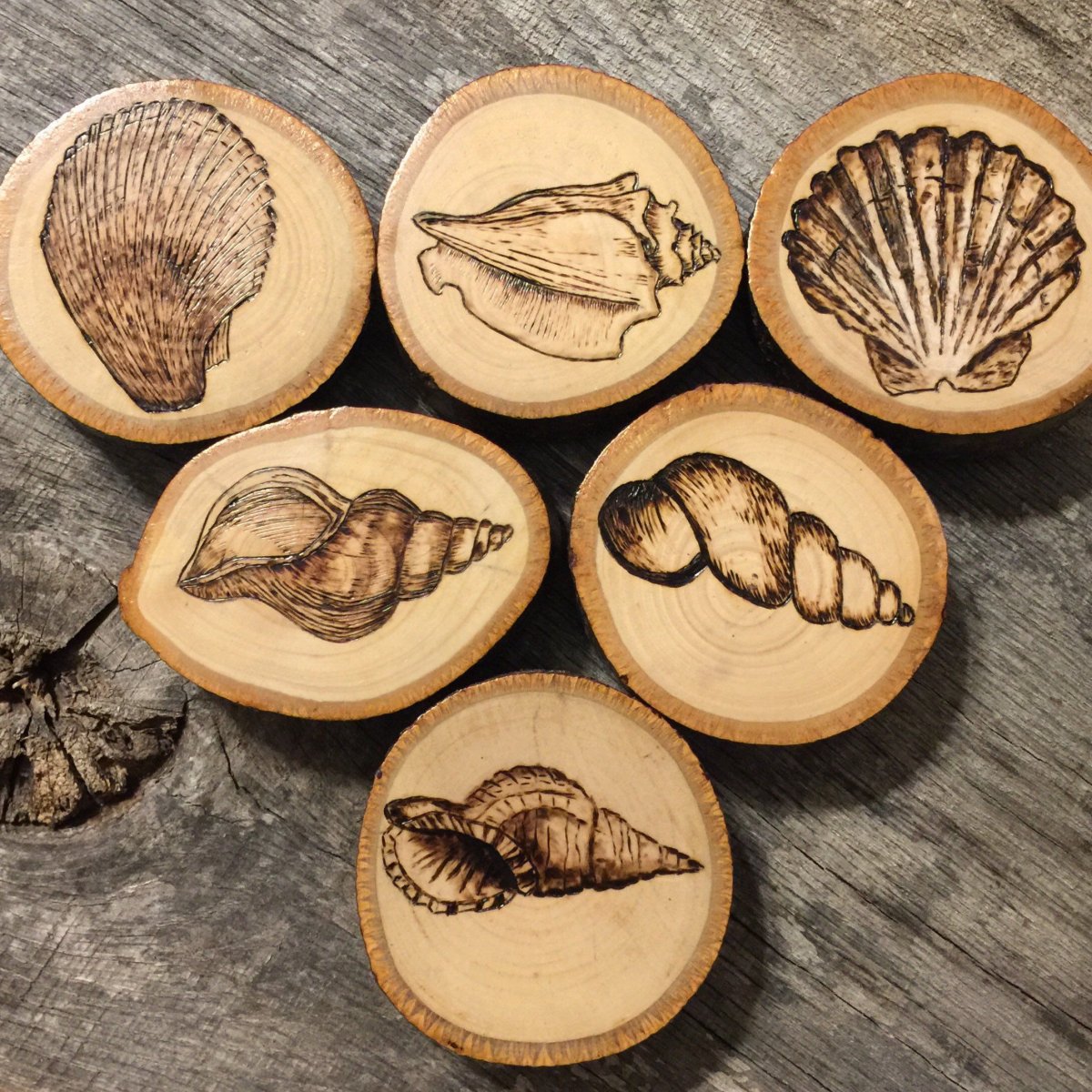 Выжженное дерево