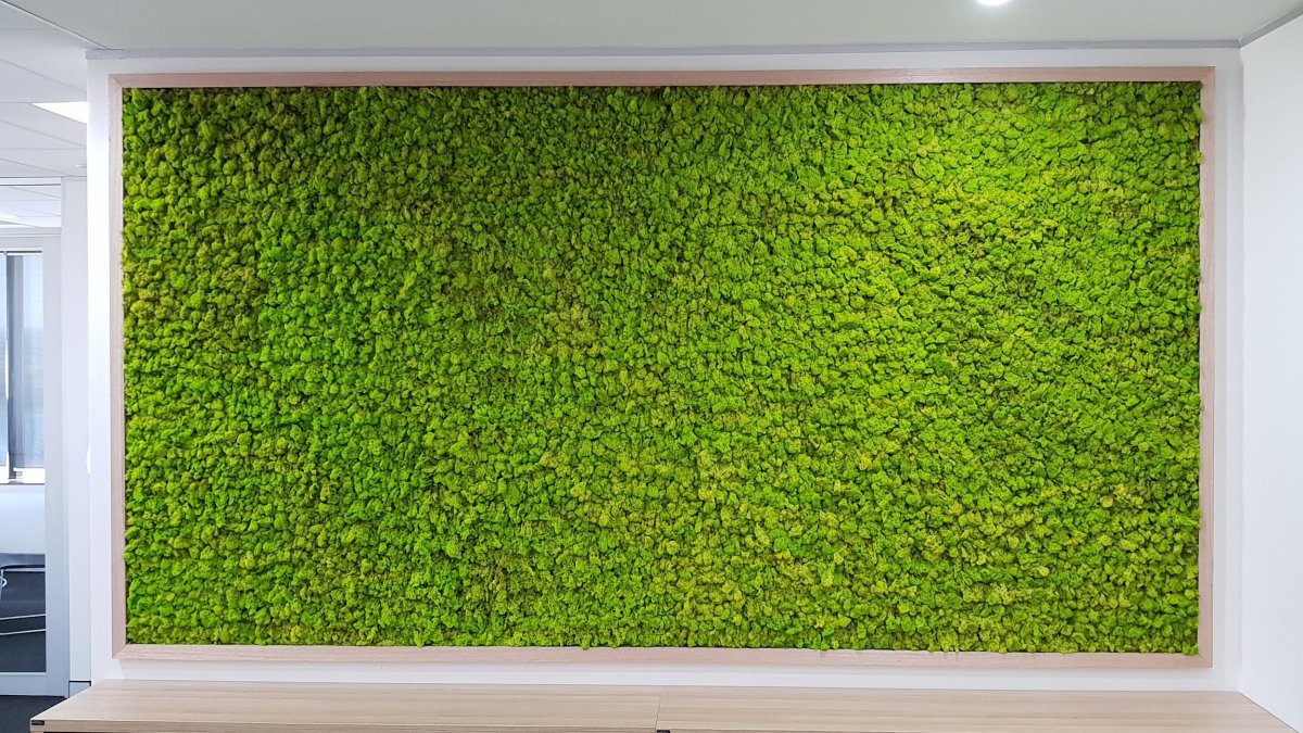 Артикул Sionne Moss