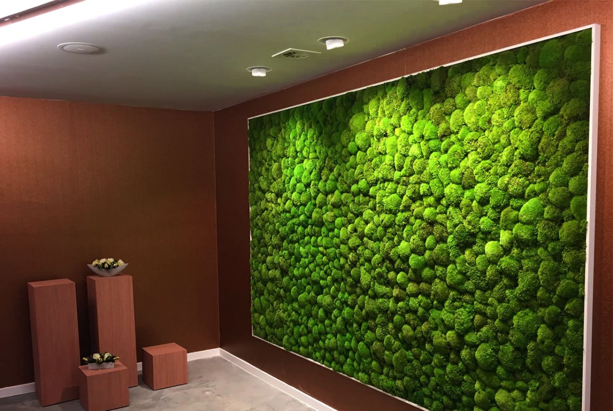 Фитостена БЦ Демидов