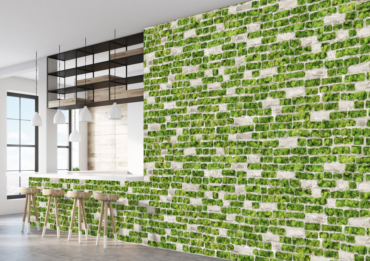 Фитостена мох стабилизированный