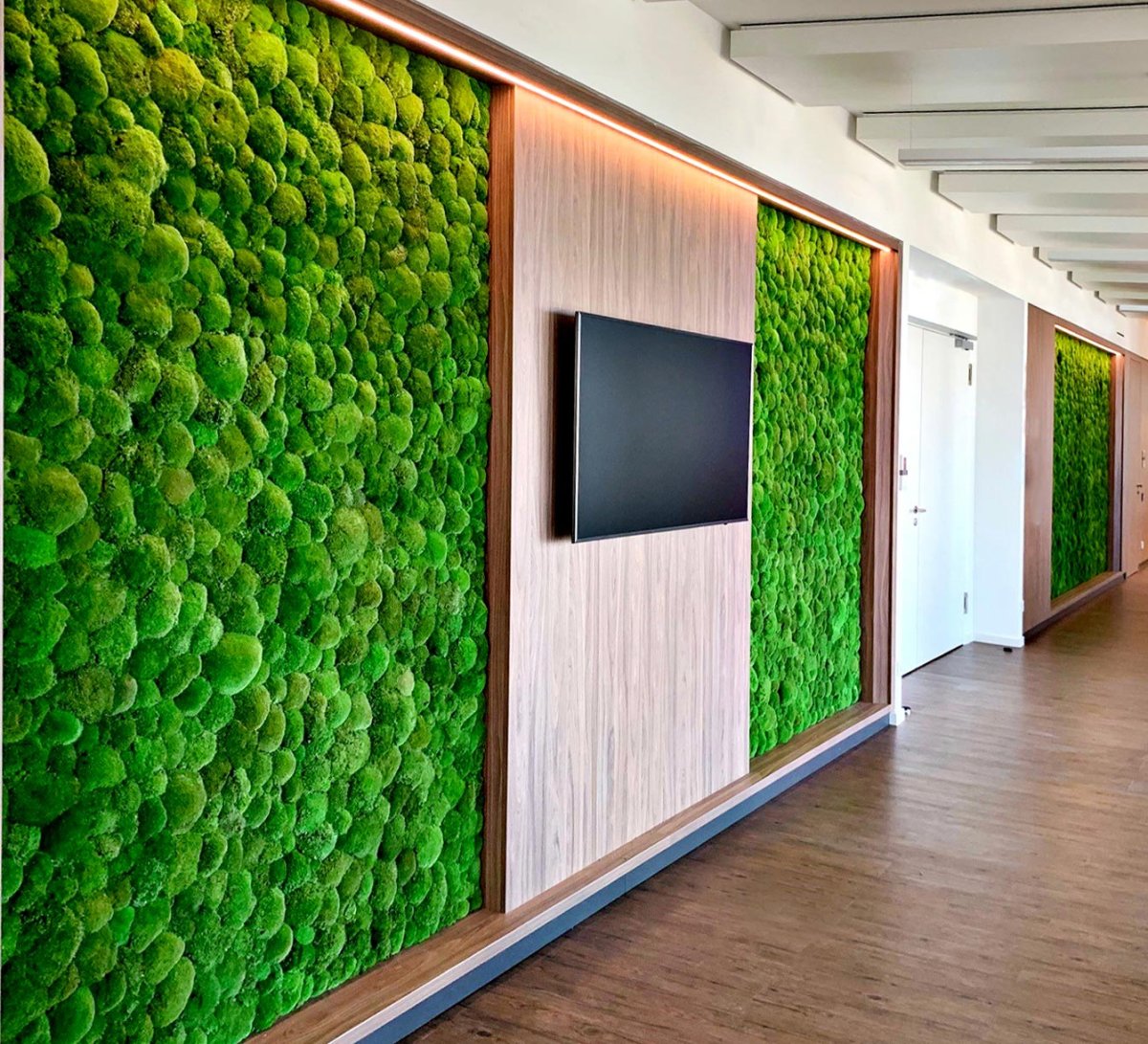 Стабилизированный мох в интерьере йога