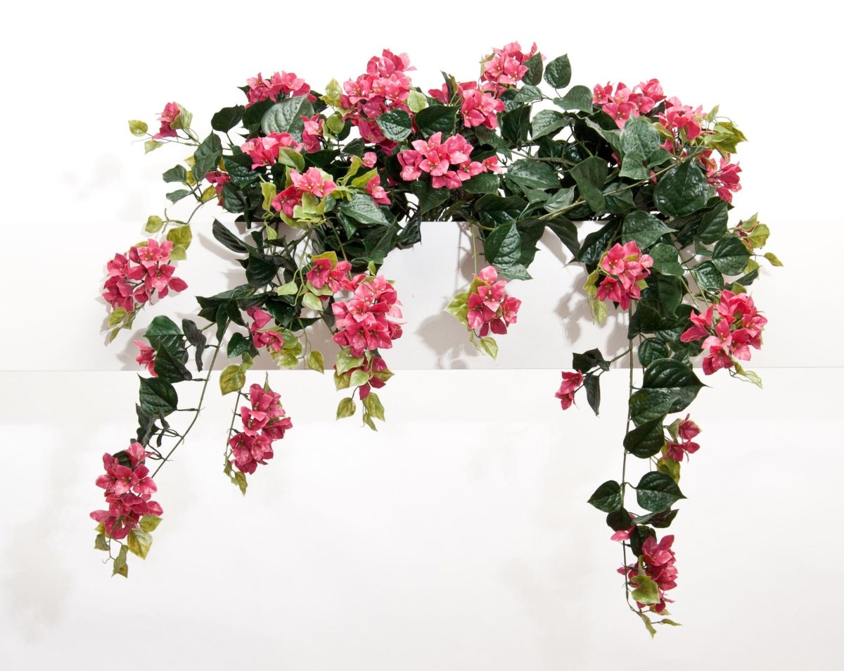 Декоративные лианы