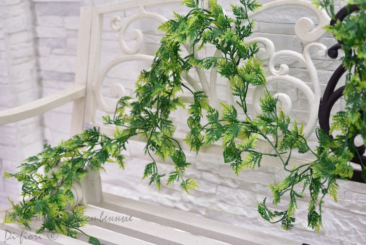 Ампельная роза