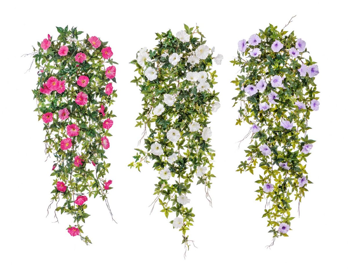 Фитостены джунгли