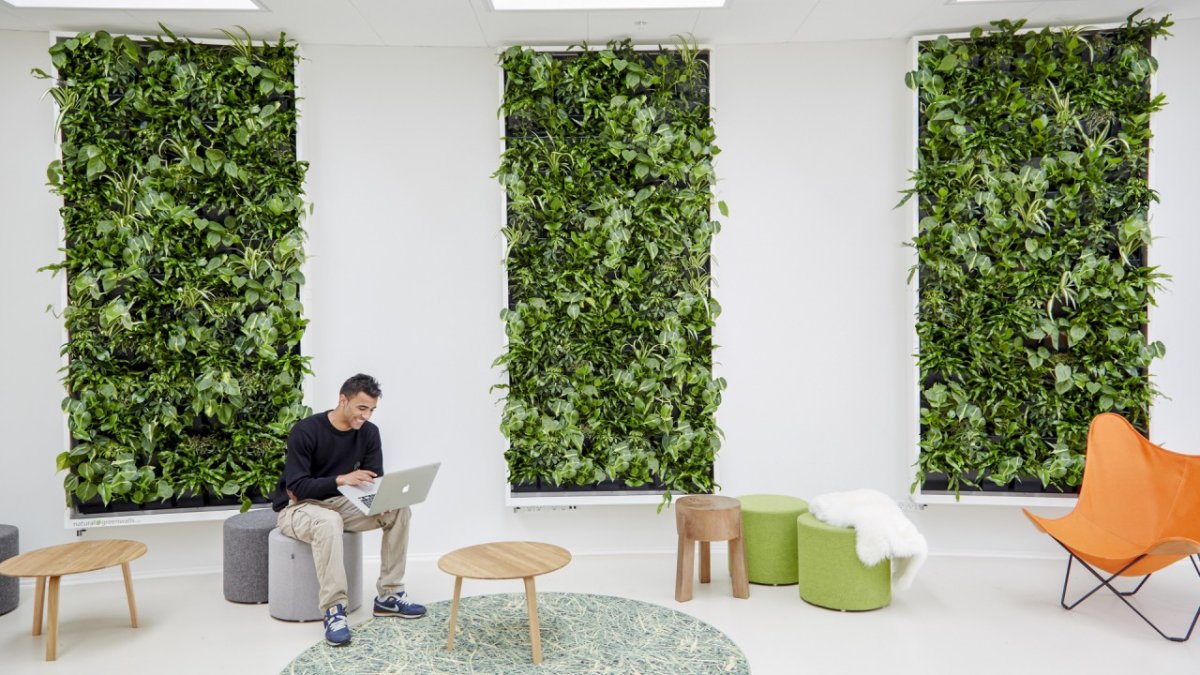 Декоративные лианы