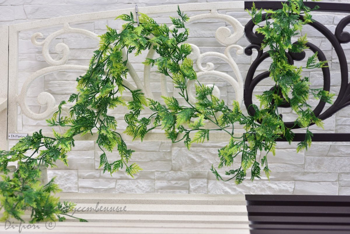 Традесканция фитостена