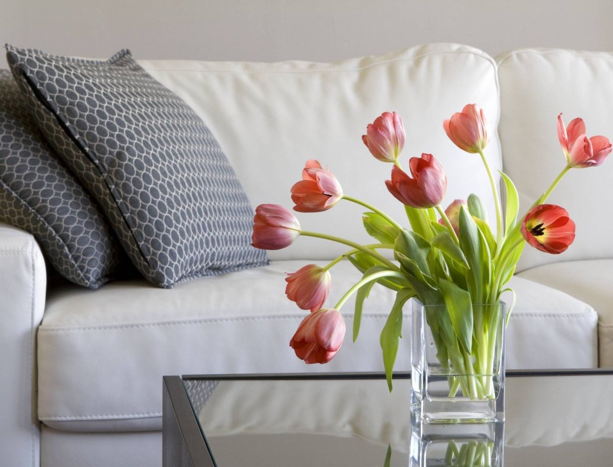 Тюльпаны в интерьере