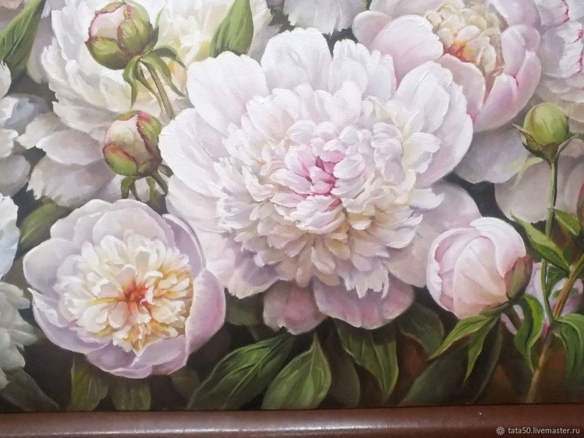 Елизавета Яшина нежные пионы