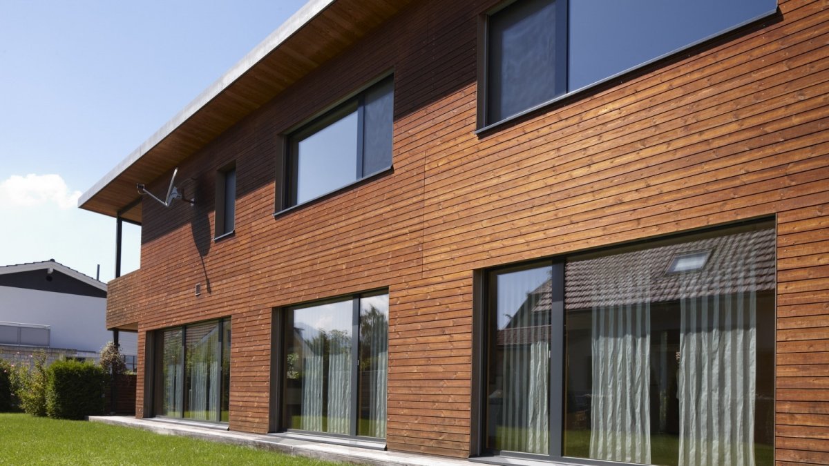 Дерево в экстерьере