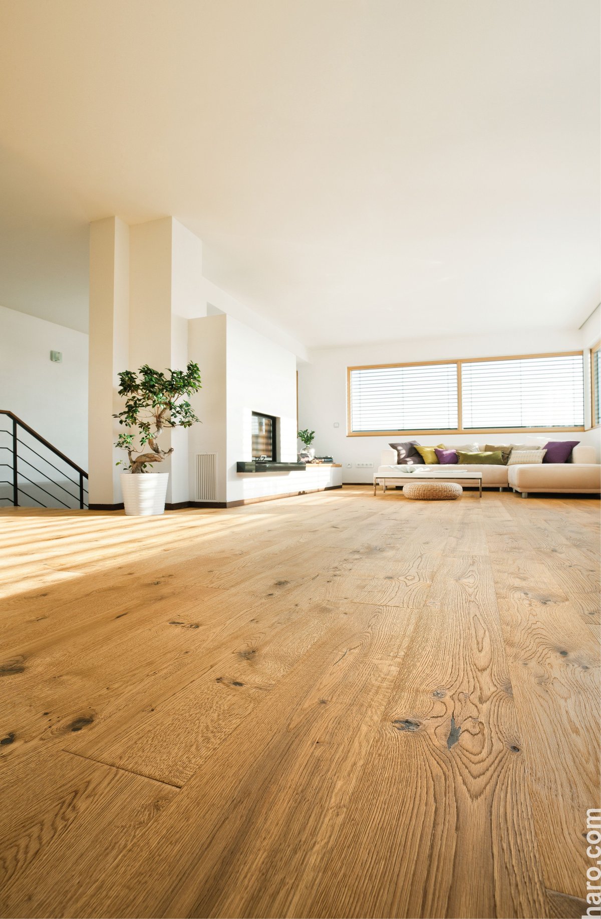 Паркет в интерьере