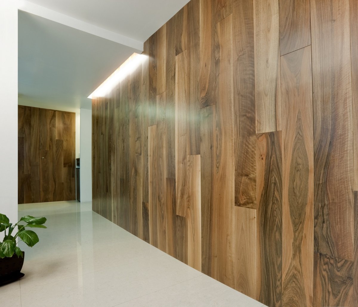 Американский орех American Walnut