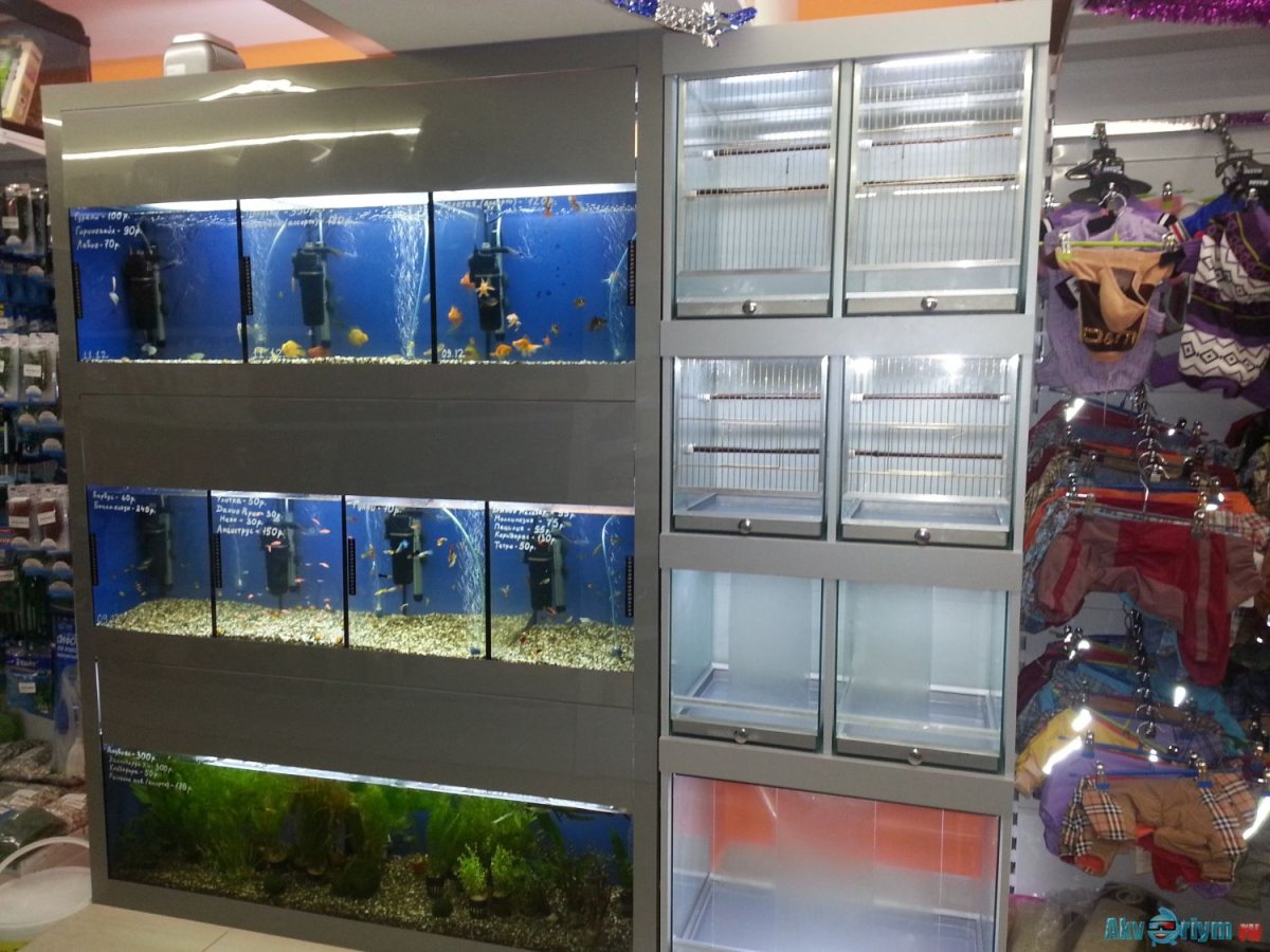 Стеллажи для аквариумов для зоомагазина