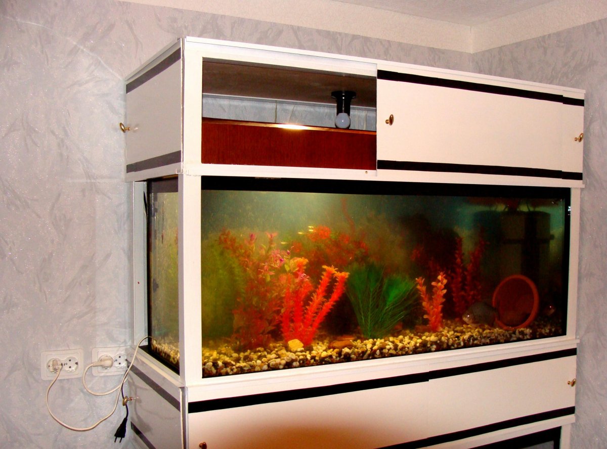 Аквариумная стойка разводня Барбус