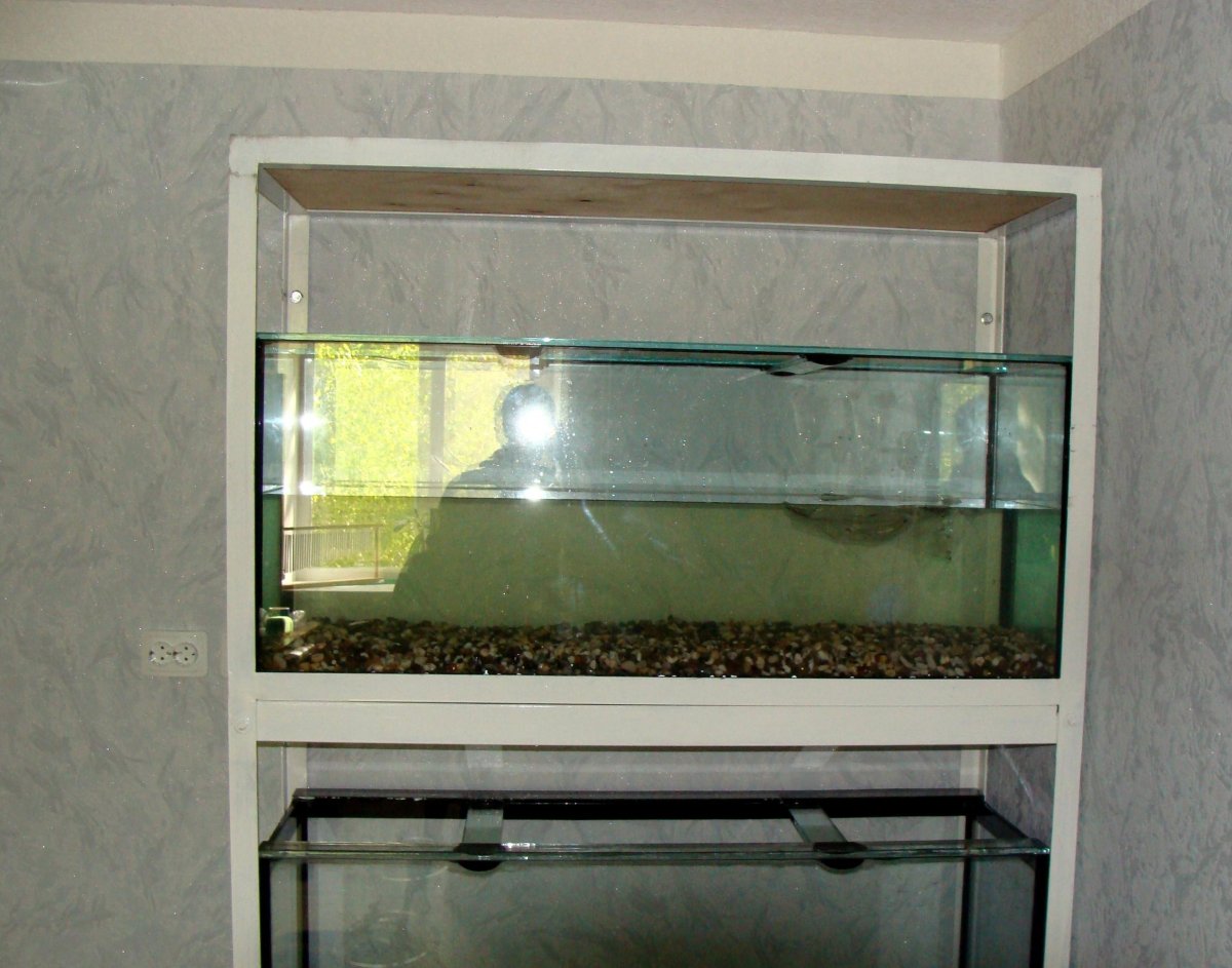 Аквариум длинный и узкий