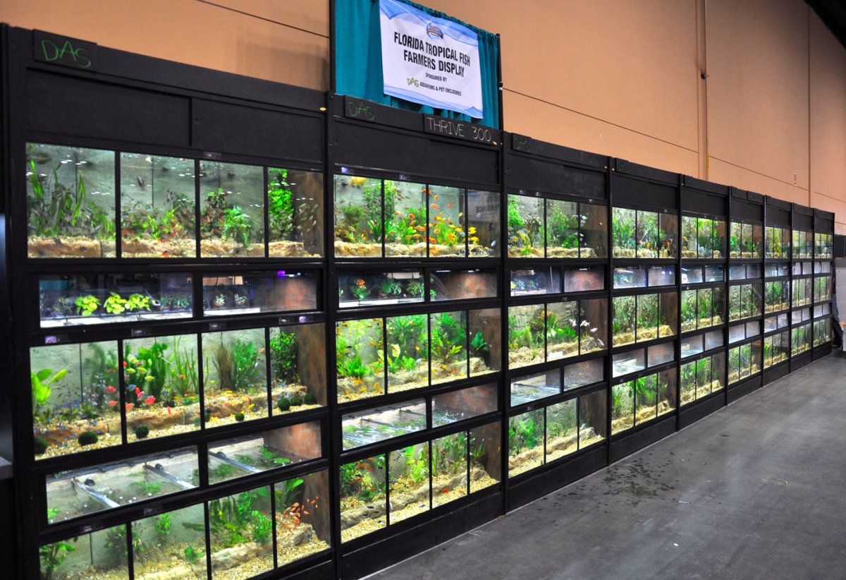 Стеллаж для аквариума