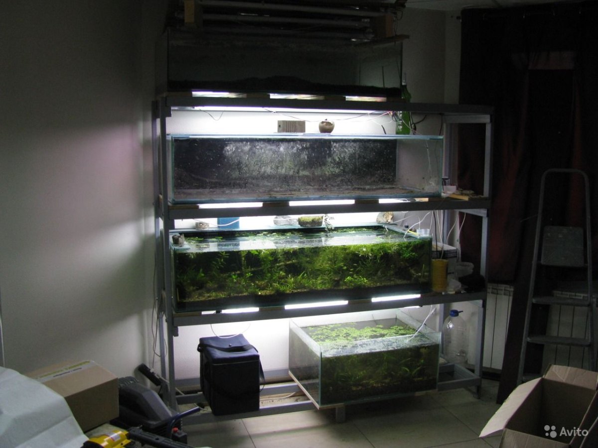 Аквариум большой 850 литров как обслуживать