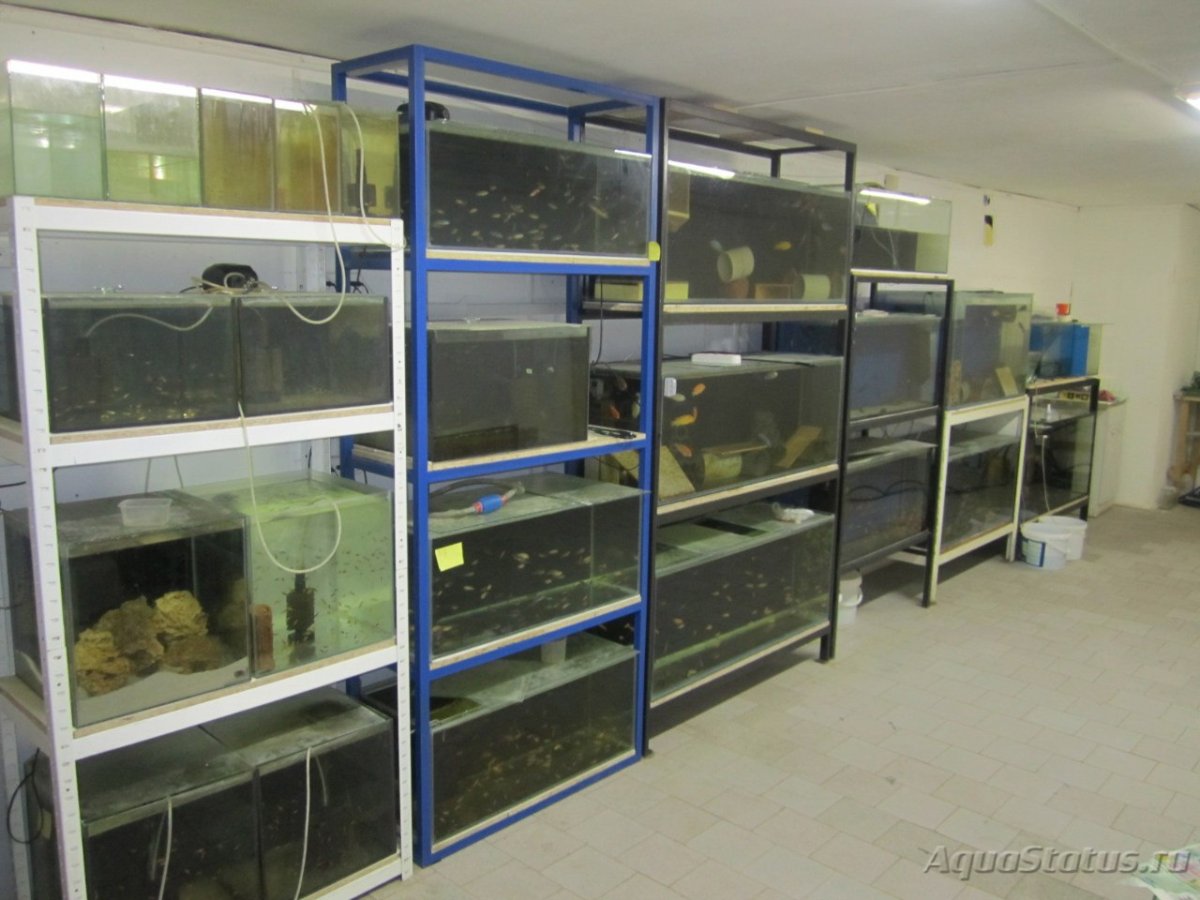 Стеллаж для аквариума