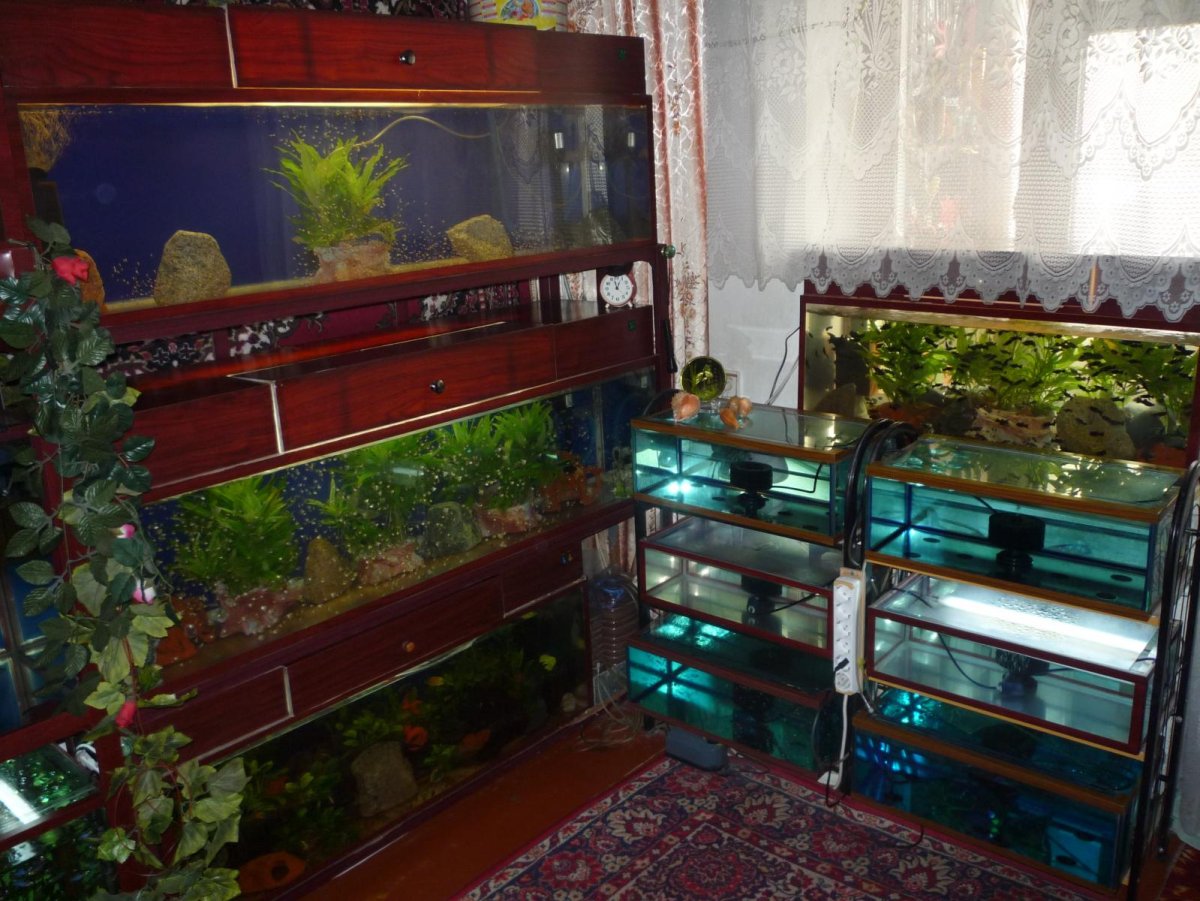 Стеллаж для аквариума