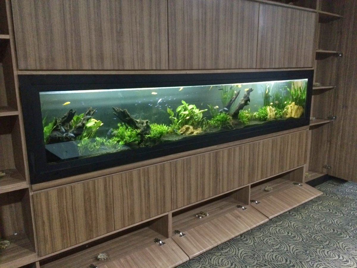 Икеа каллакс и аквариум