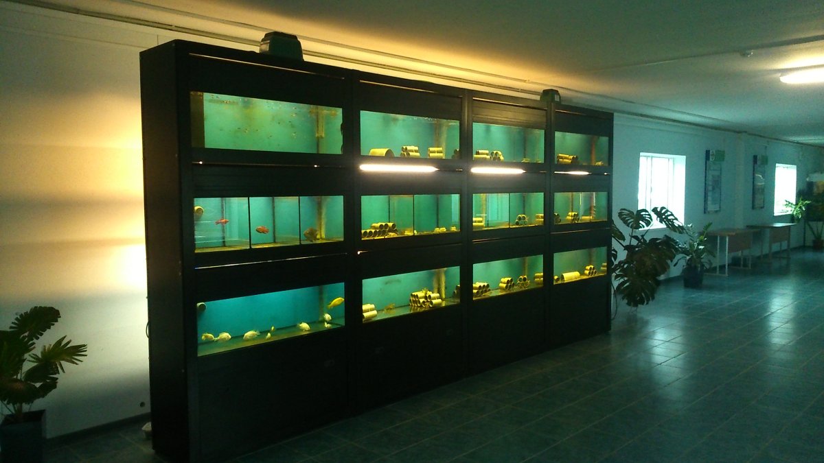 Стеллаж для аквариума из дерева