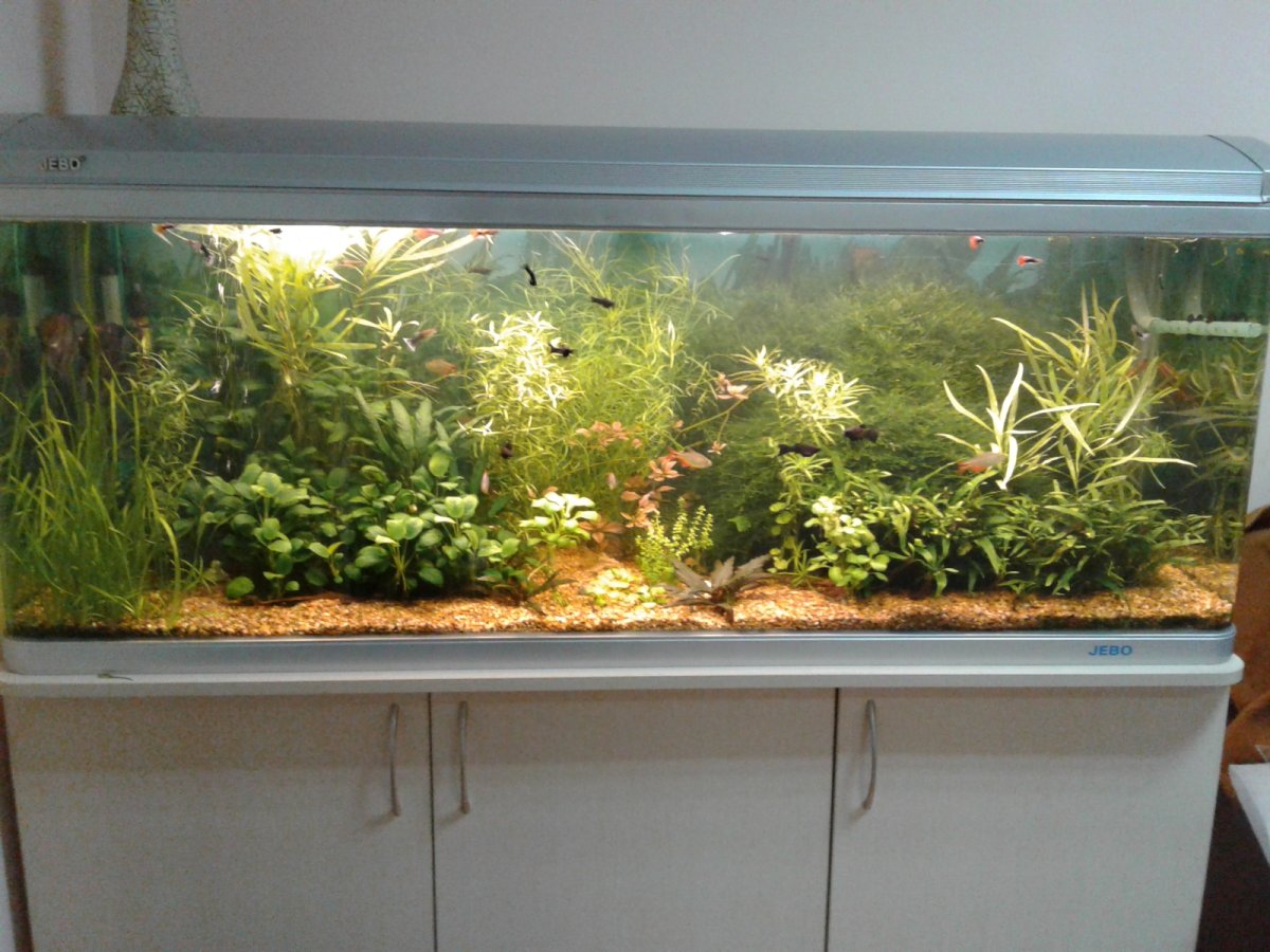 Самп для аквариума 700 литров